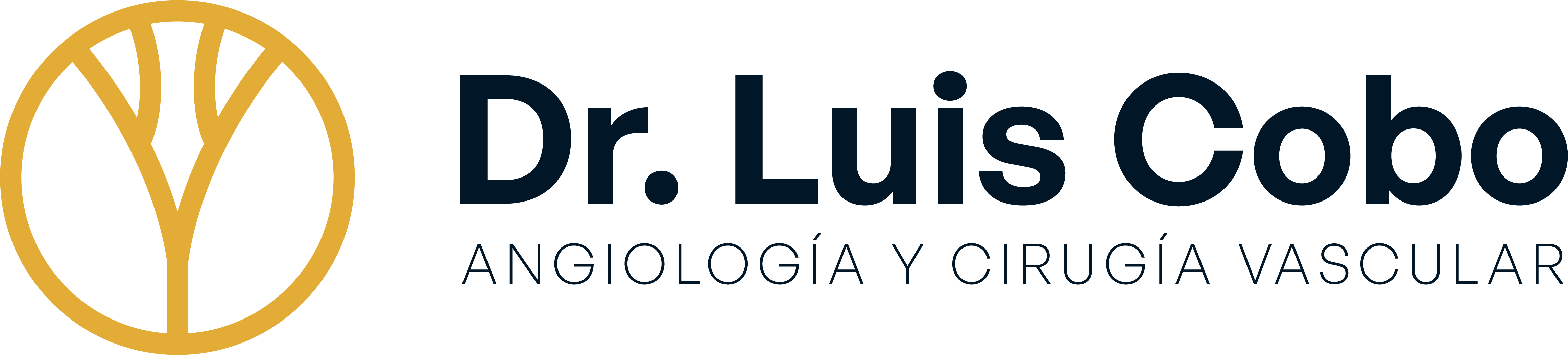 Dr. Luis Cobo - Angiología y Cirugía Vascular